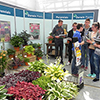 bac pro horticulture : voyage d'études en hollande